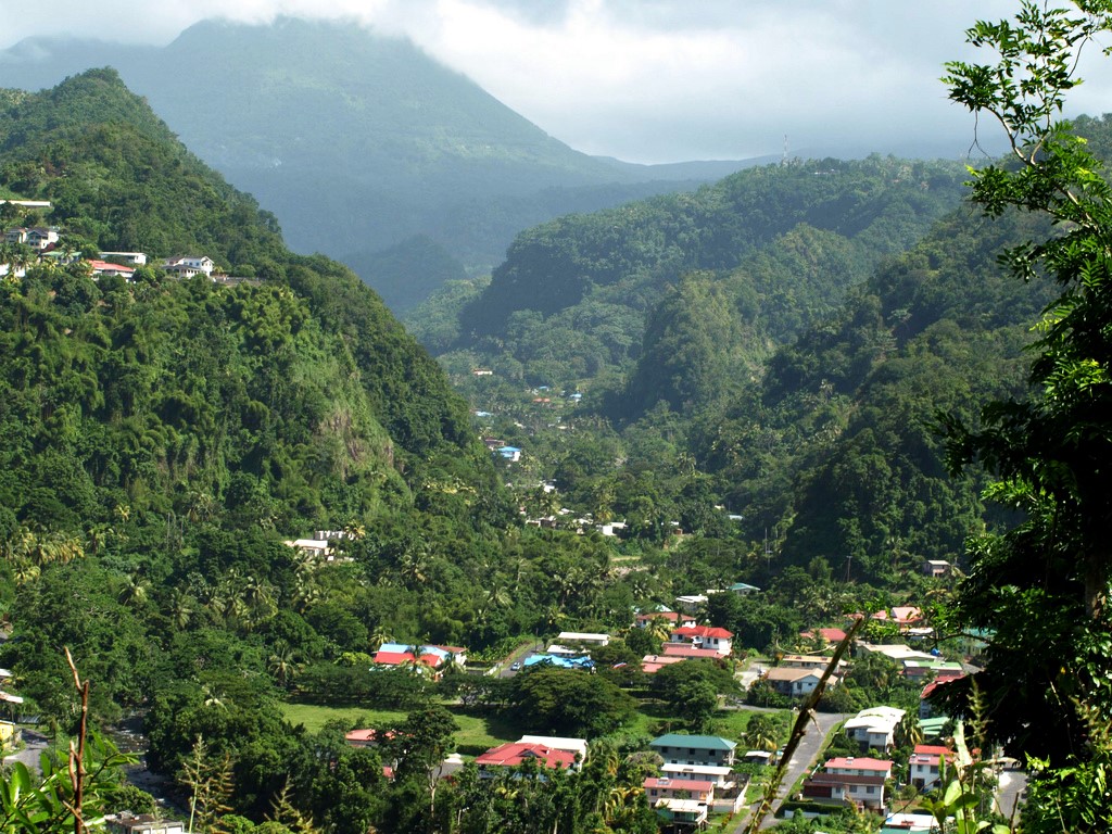 Dominica Valley Djungle