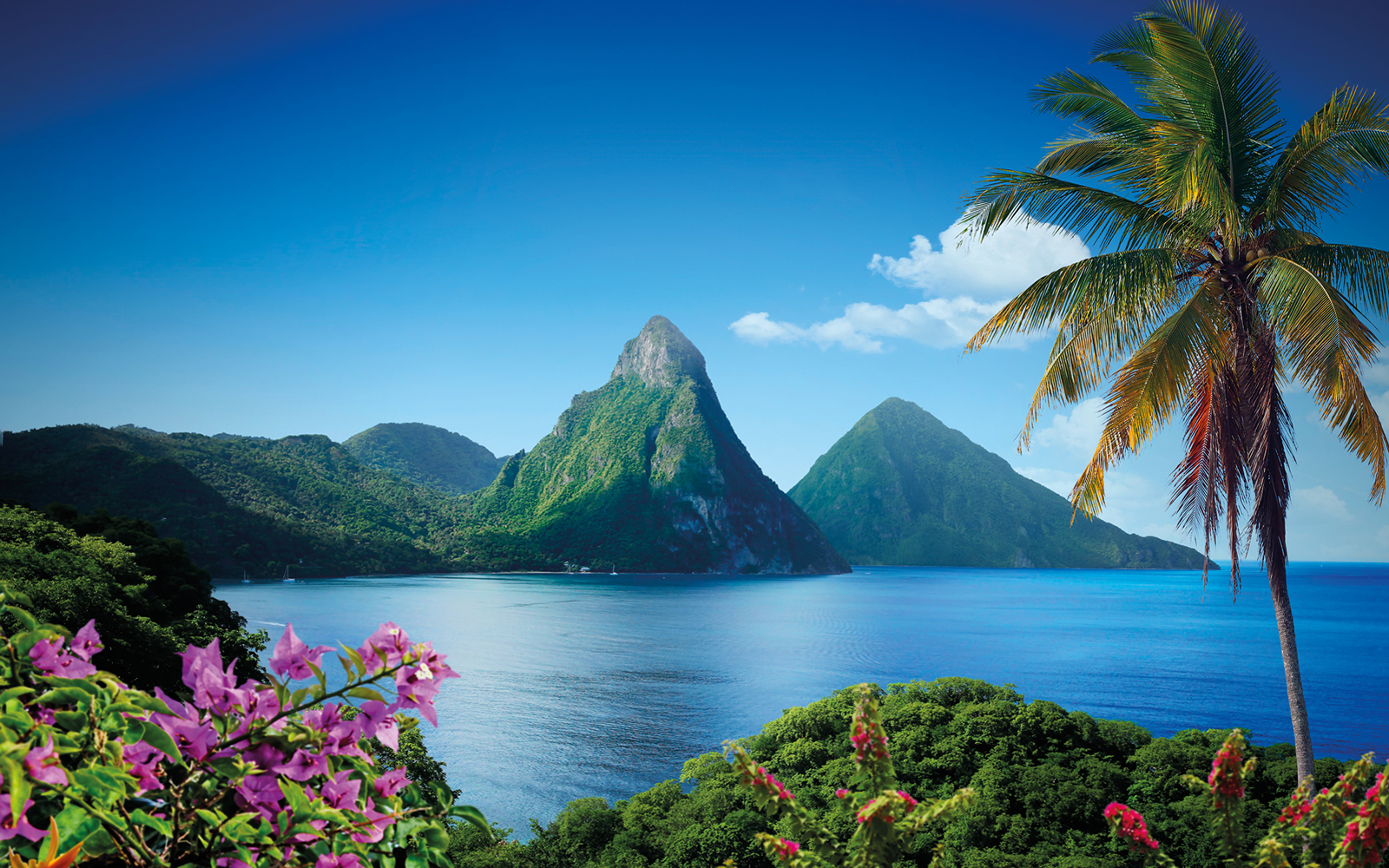 Pitons Saint Lucia anchorage