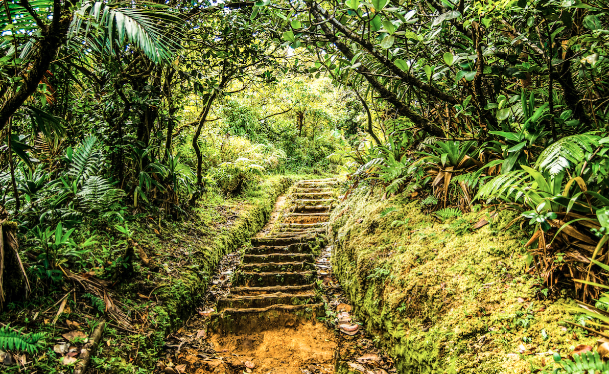 Dominica Boiling Lake Hike