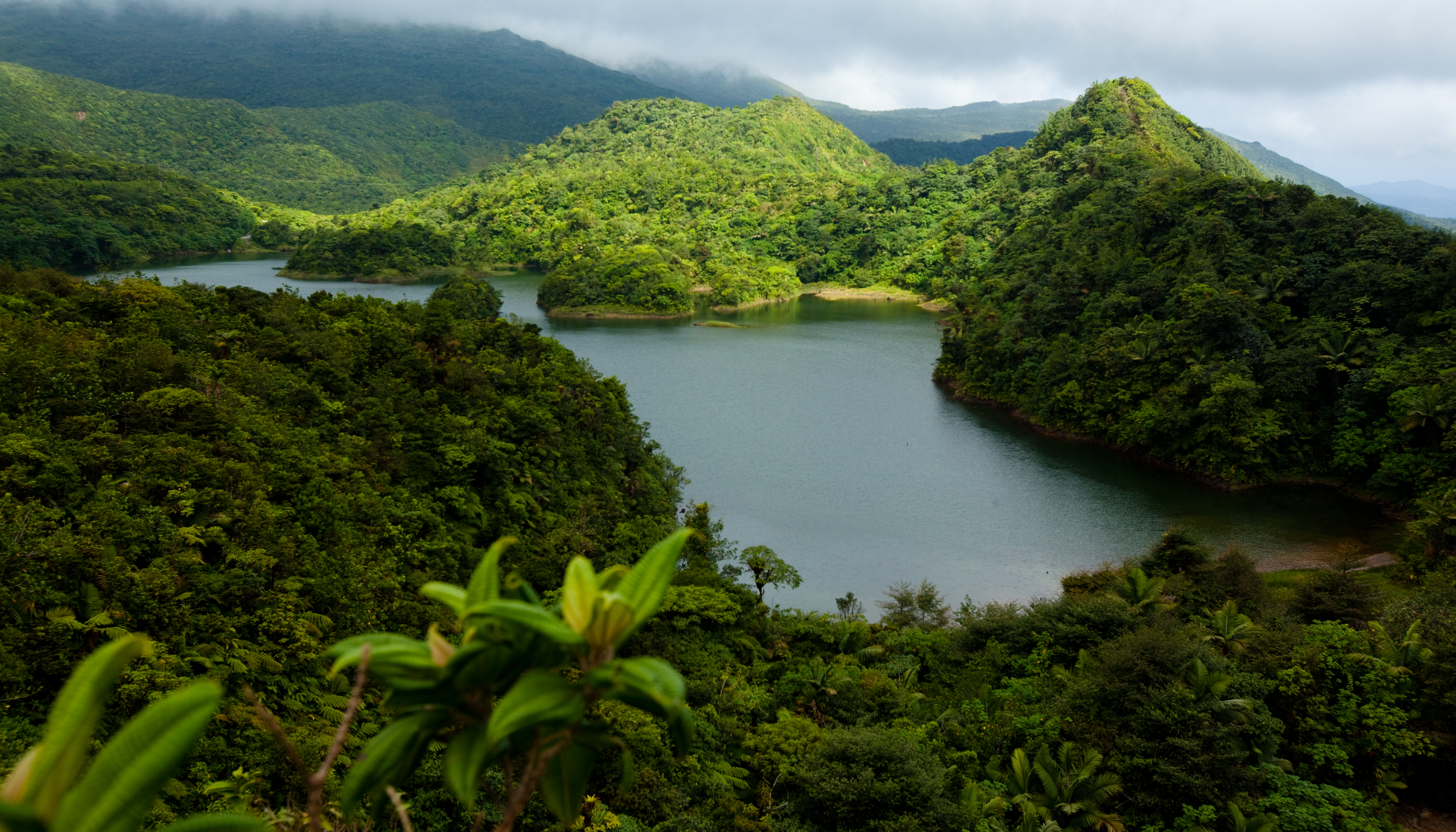 Dominica Crater