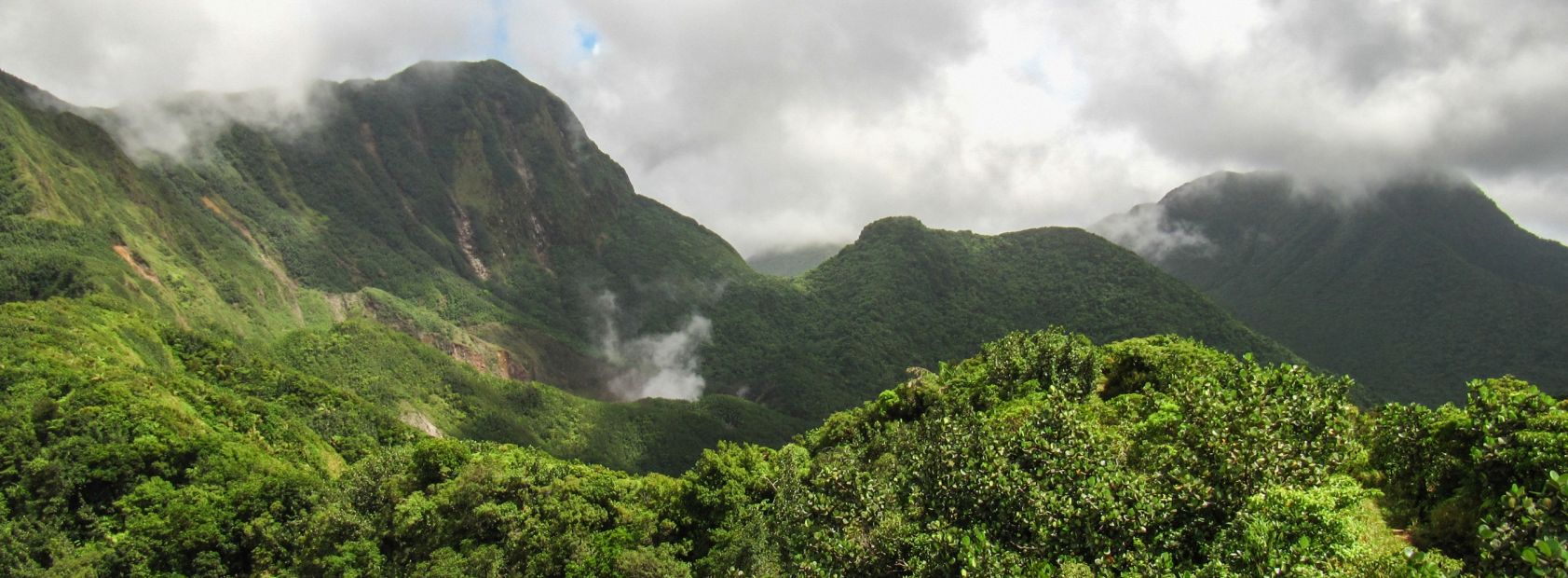 Dominica djungle hike