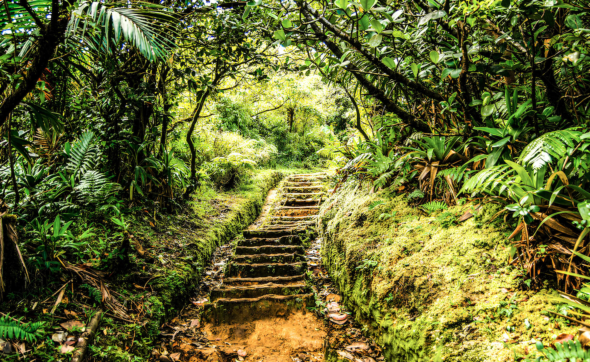 The Boiling Lake Hike (Dominica)