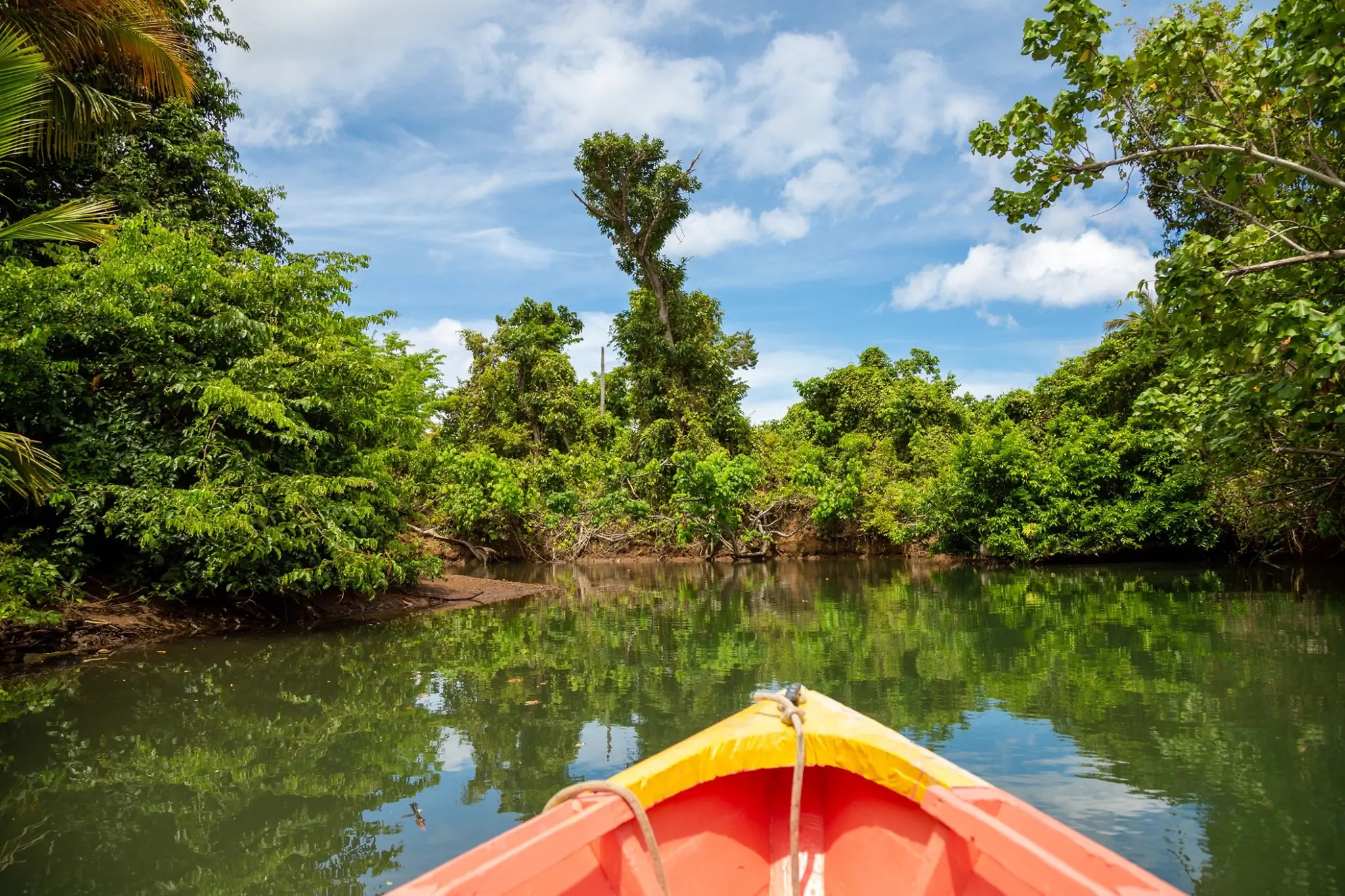 The indian river (Portsmouth, Dominica)