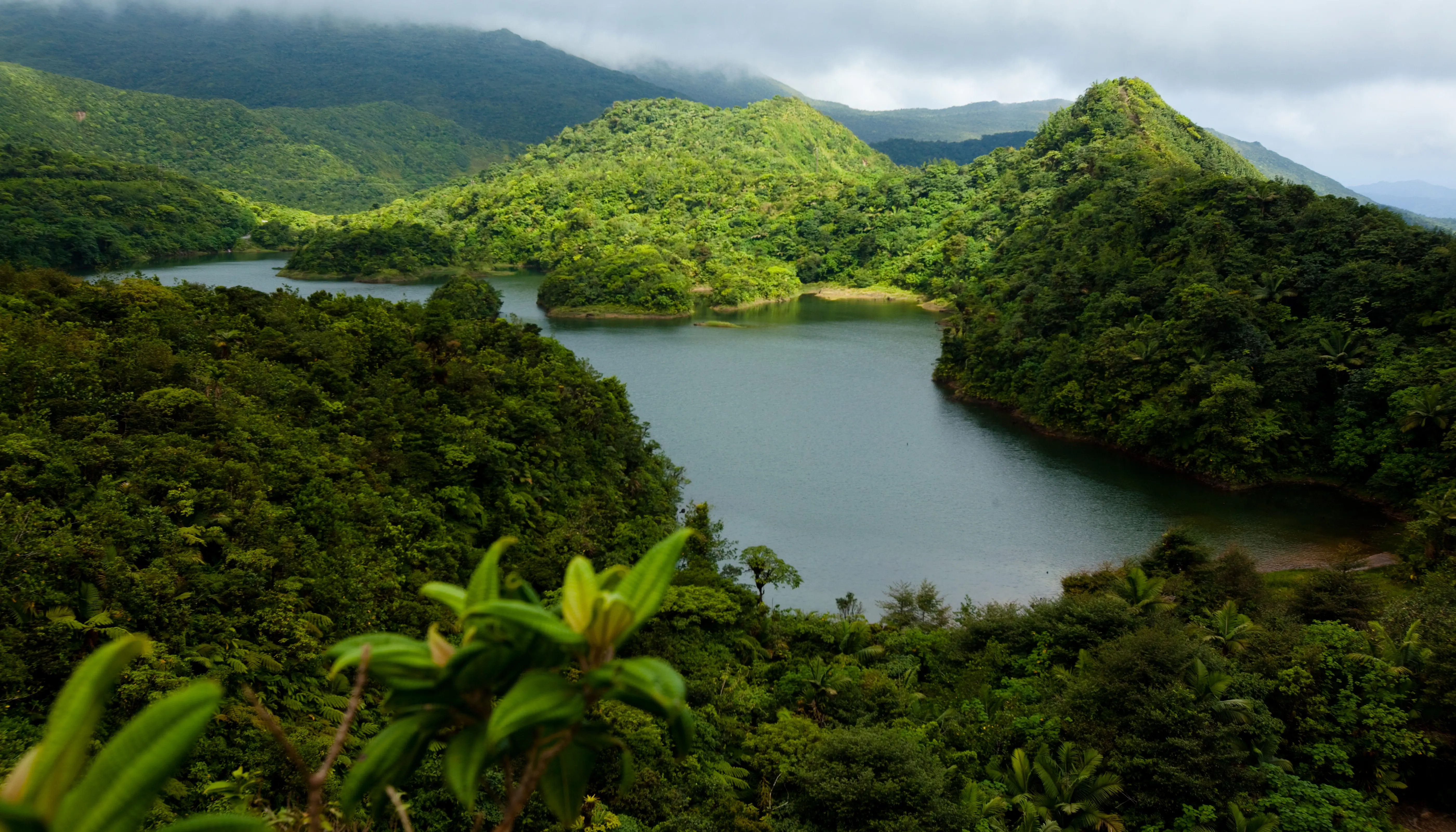 A Lake in Morne Trois Pitons national park