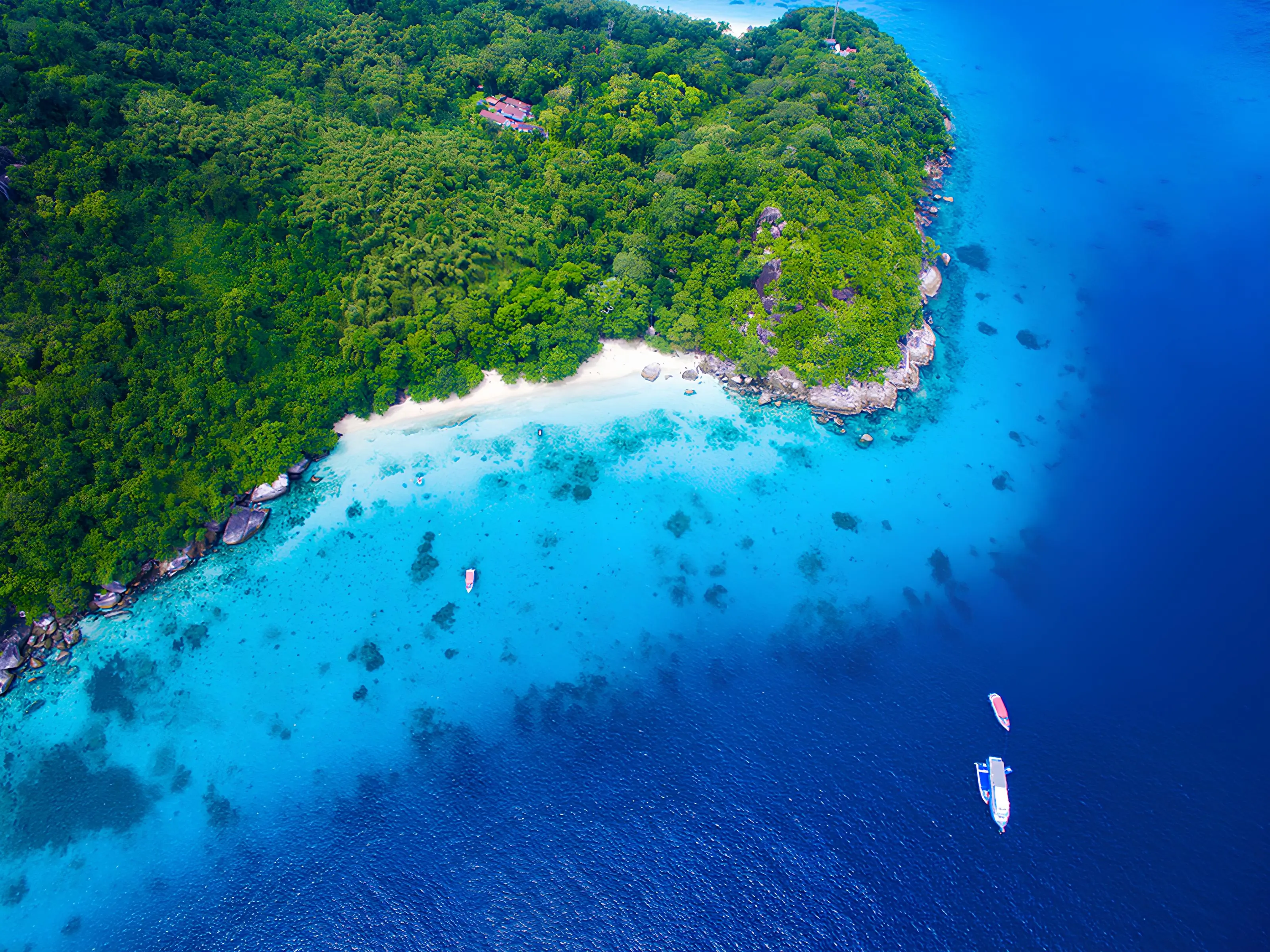 Snorkeling in Les Saintes (Guadelope)