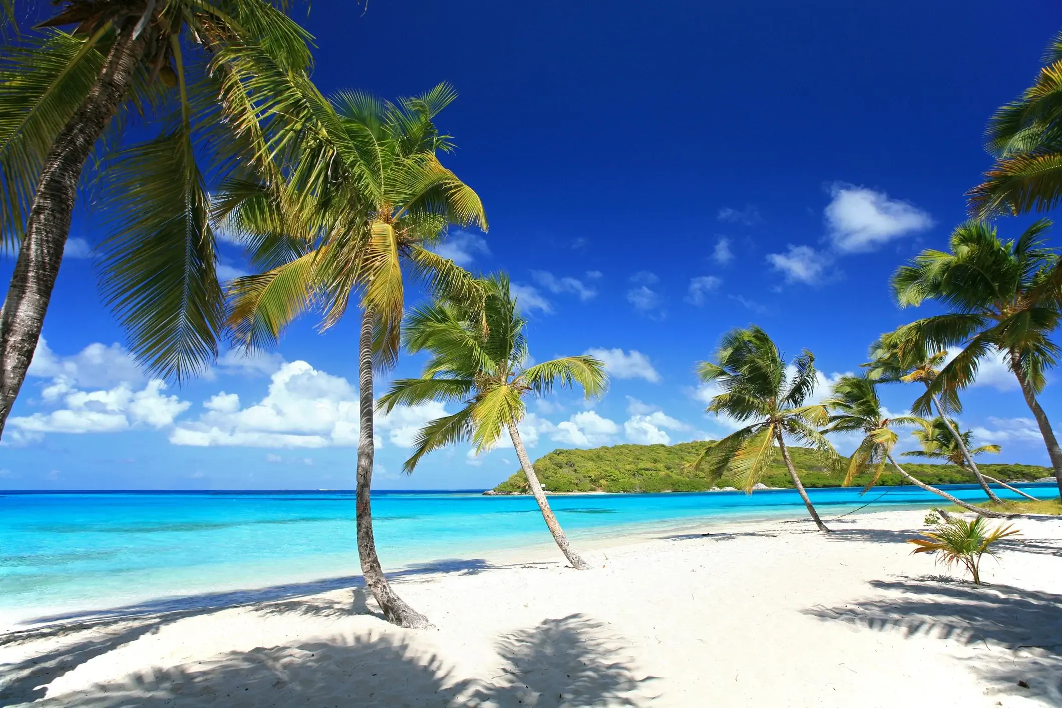 Beach at Tobago Keys